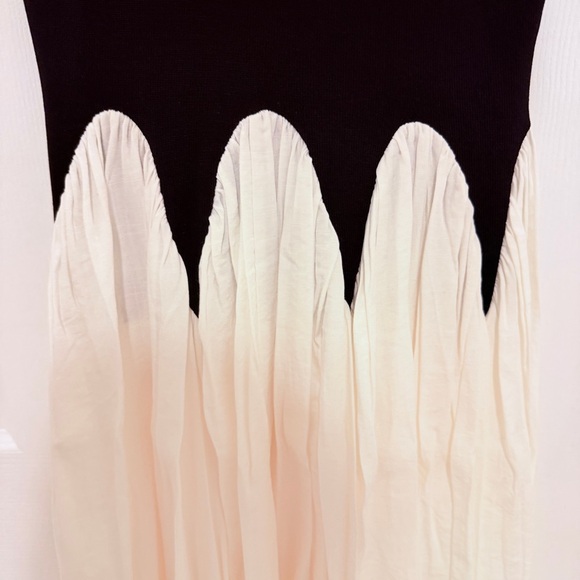 NWT Siempre x Anthropologie - Black and White Midi Dress - Picture 13 of 15